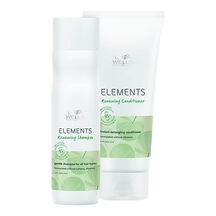 Kit Wella Professionals Elements Duo